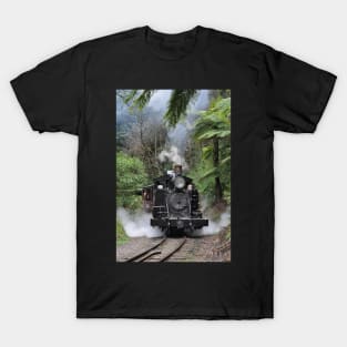 Puffing Billy, Selby, Vic T-Shirt